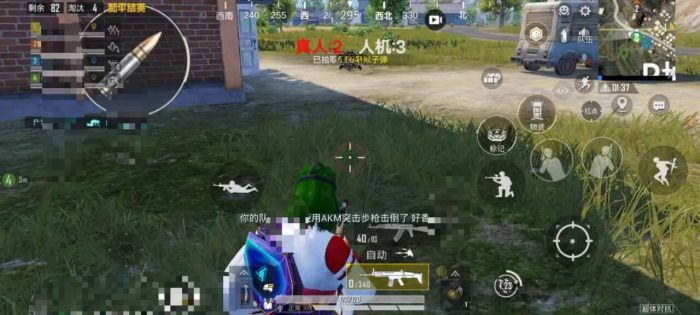 和平精英出了辅助怎么解决（和平精英辅助怎么设置）